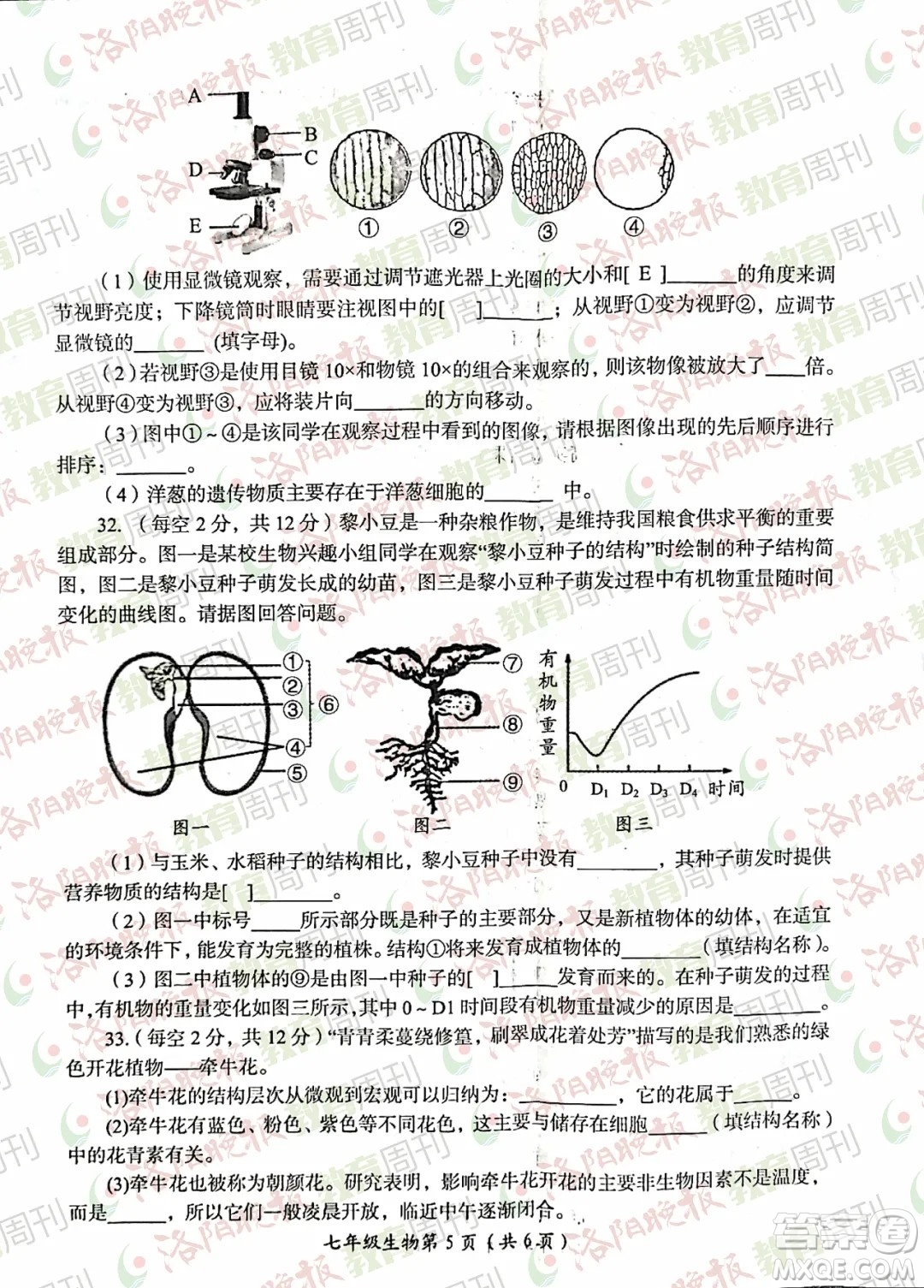 洛陽市2021-2022學(xué)年第一學(xué)期期末考試七年級(jí)生物試題及答案