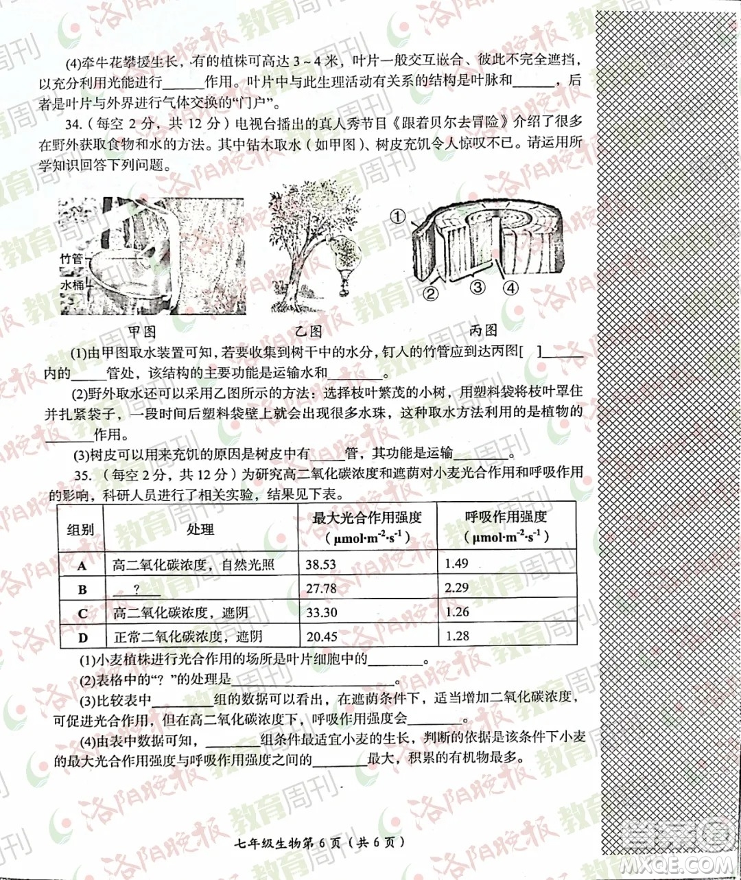 洛陽市2021-2022學(xué)年第一學(xué)期期末考試七年級(jí)生物試題及答案