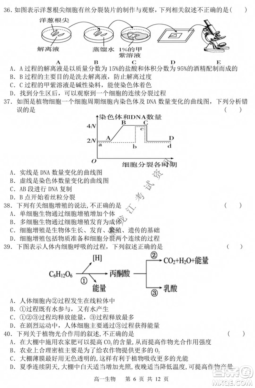 哈三中2021-2022學年度上學期高一學年第一模塊考試生物試卷及答案