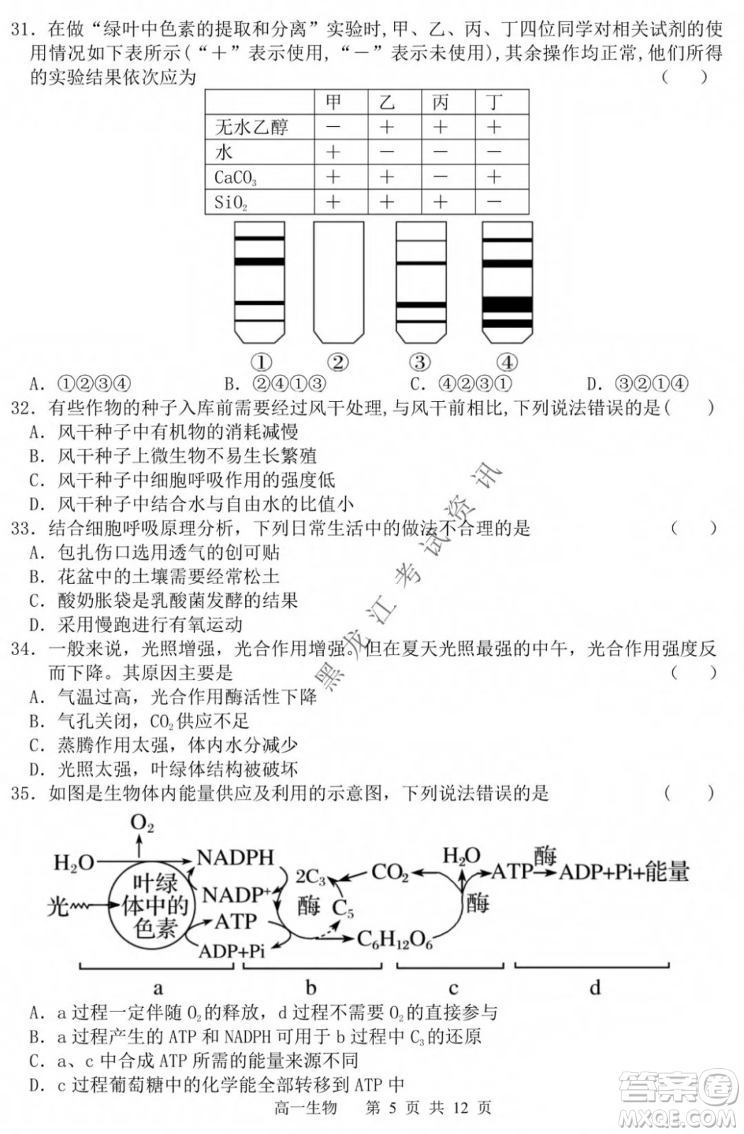 哈三中2021-2022學年度上學期高一學年第一模塊考試生物試卷及答案