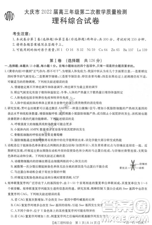 大慶市2022屆高三年級(jí)第二次教學(xué)質(zhì)量檢測(cè)理科綜合試題及答案