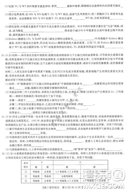 大慶市2022屆高三年級(jí)第二次教學(xué)質(zhì)量檢測(cè)理科綜合試題及答案