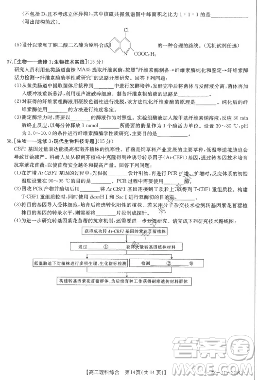 大慶市2022屆高三年級(jí)第二次教學(xué)質(zhì)量檢測(cè)理科綜合試題及答案