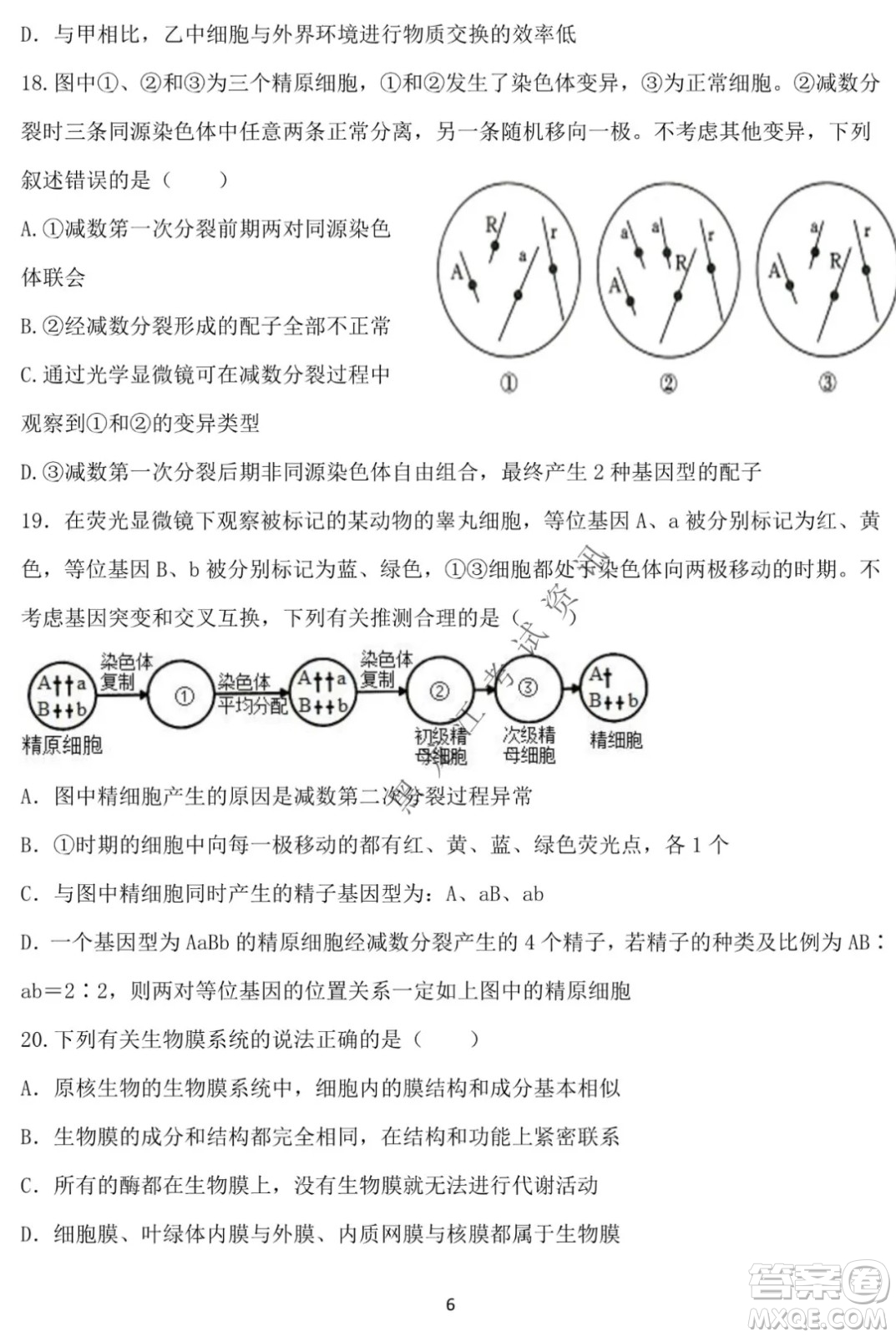 德強高中2021-2022學年度上學期期末驗收考試高三學年清北生物試題及答案