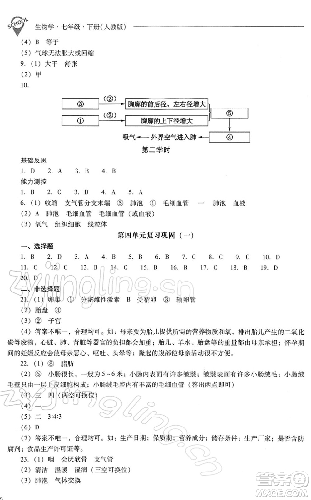 山西教育出版社2022新課程問題解決導(dǎo)學(xué)方案七年級生物下冊人教版答案