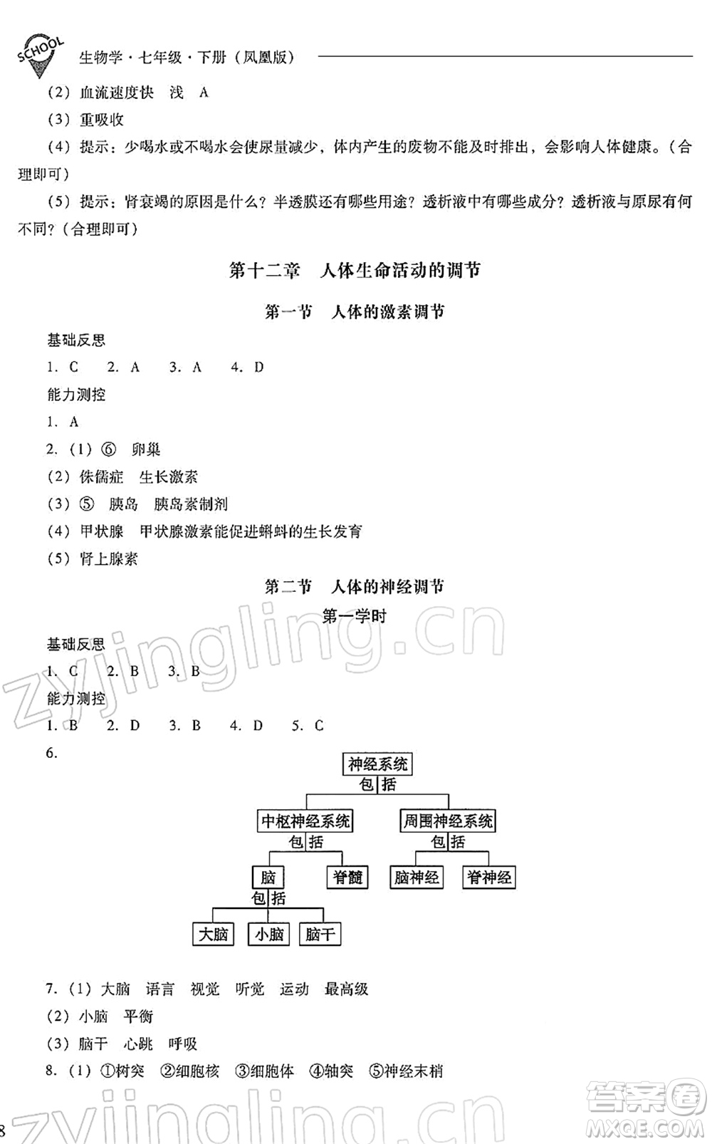 山西教育出版社2022新課程問題解決導(dǎo)學(xué)方案七年級生物下冊鳳凰版答案