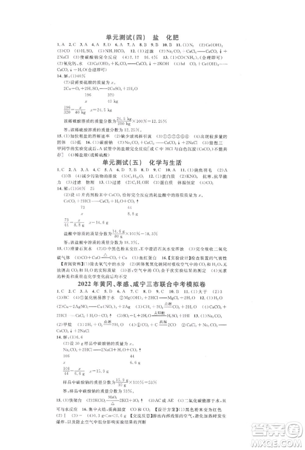 廣東經(jīng)濟(jì)出版社2022名校課堂背記手冊(cè)九年級(jí)化學(xué)下冊(cè)人教版湖北三市專版參考答案