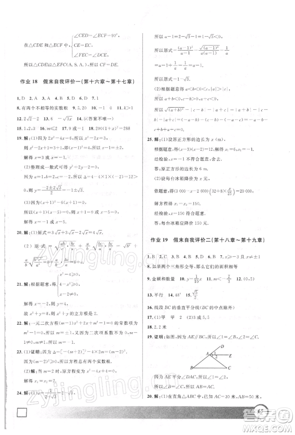 上海大學(xué)出版社2022鐘書金牌寒假作業(yè)導(dǎo)與練八年級(jí)數(shù)學(xué)通用版上海專版參考答案