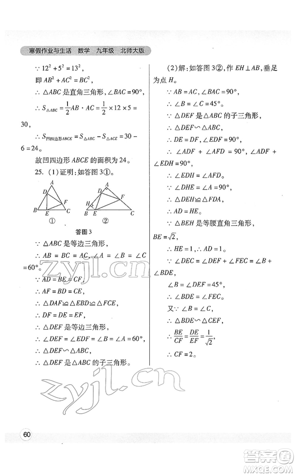 陜西師范大學(xué)出版總社2022寒假作業(yè)與生活九年級(jí)數(shù)學(xué)北師大版答案