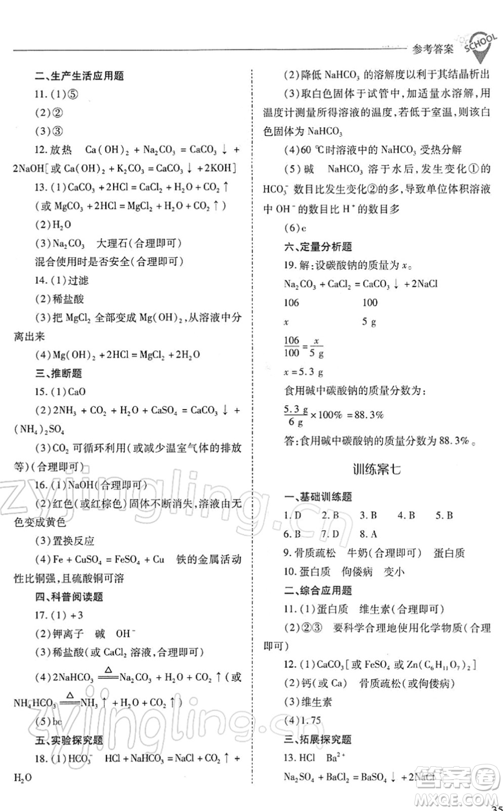 山西教育出版社2022新課程問題解決導(dǎo)學(xué)方案九年級(jí)化學(xué)下冊滬教版答案