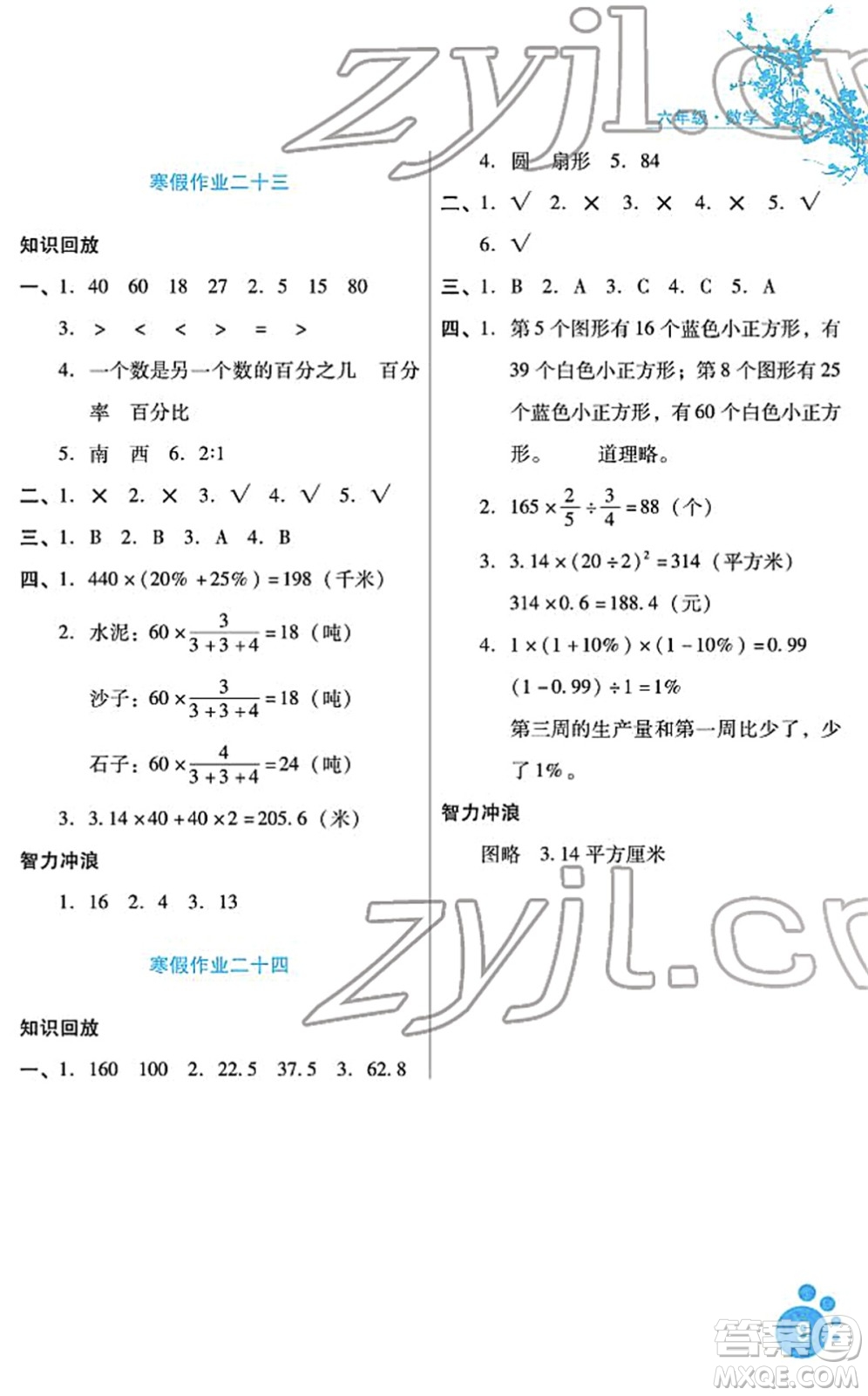 河北少年兒童出版社2022寒假生活六年級數(shù)學通用版答案