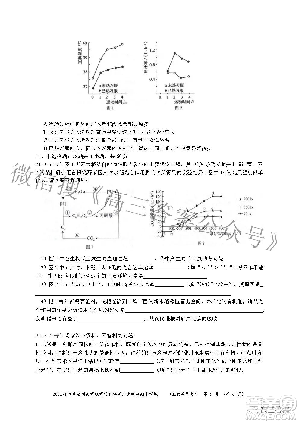 2022年湖北省新高考協(xié)作體高三上學期期末考試生物學試卷及答案