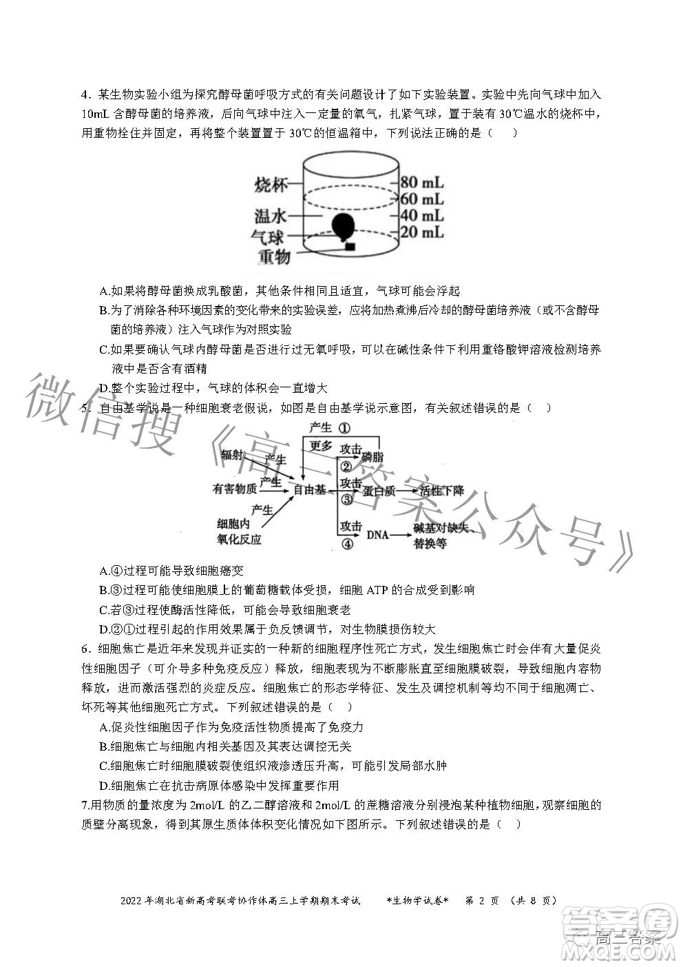 2022年湖北省新高考協(xié)作體高三上學期期末考試生物學試卷及答案