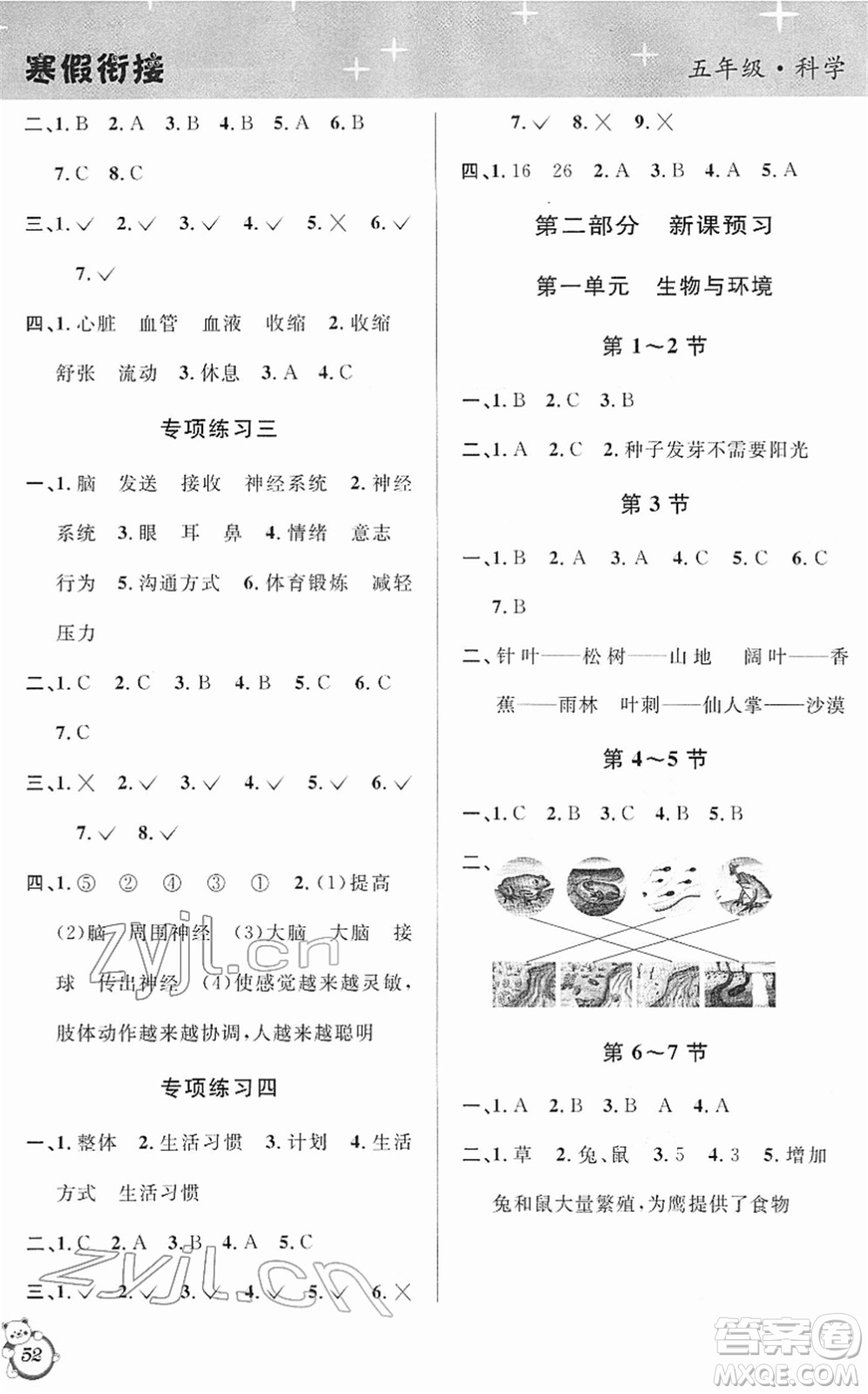 浙江科學(xué)技術(shù)出版社2022第三學(xué)期寒假銜接五年級科學(xué)JK教科版答案