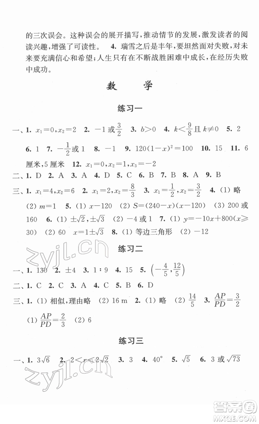 江蘇人民出版社2022學(xué)習(xí)與探究寒假作業(yè)九年級合訂本通用版答案