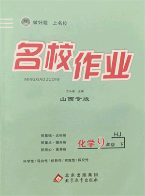 北京教育出版社2022名校作業(yè)九年級(jí)化學(xué)下冊(cè)滬教版山西專(zhuān)版參考答案