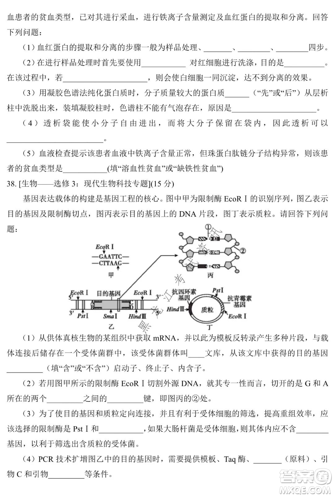 銀川一中2022屆高三年級第六次月考理科綜合試卷及答案