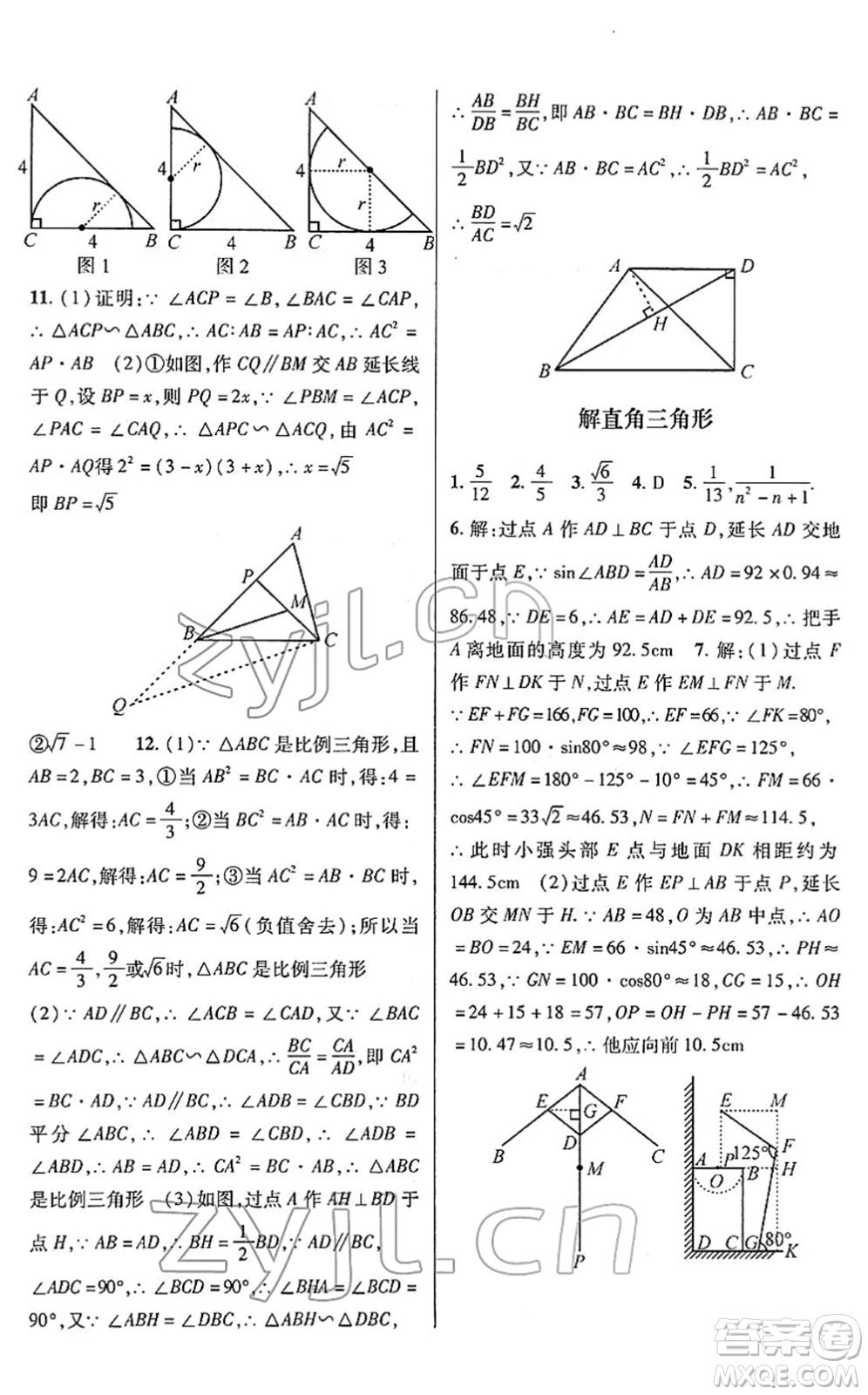 浙江科學(xué)技術(shù)出版社2022寒假綜合作業(yè)九年級合訂本通用版答案