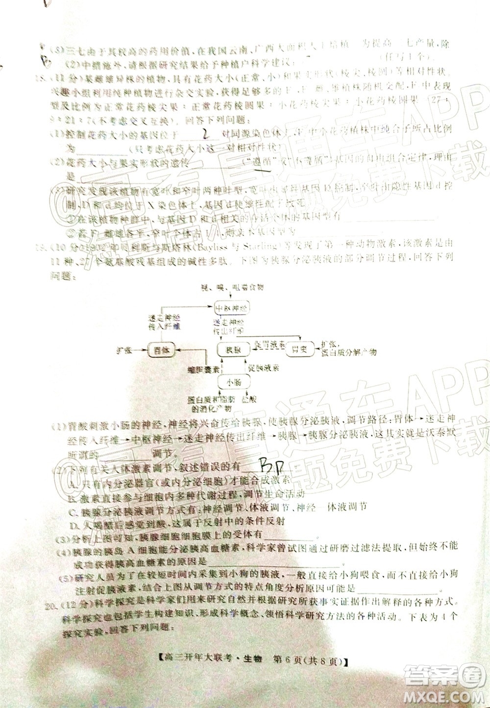 天壹名校聯(lián)盟2022屆高三開年大聯(lián)考生物試題及答案