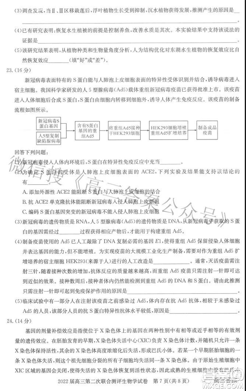 圓創(chuàng)聯(lián)考2021-2022學(xué)年高三上學(xué)期第二次聯(lián)合測(cè)評(píng)生物試題及答案