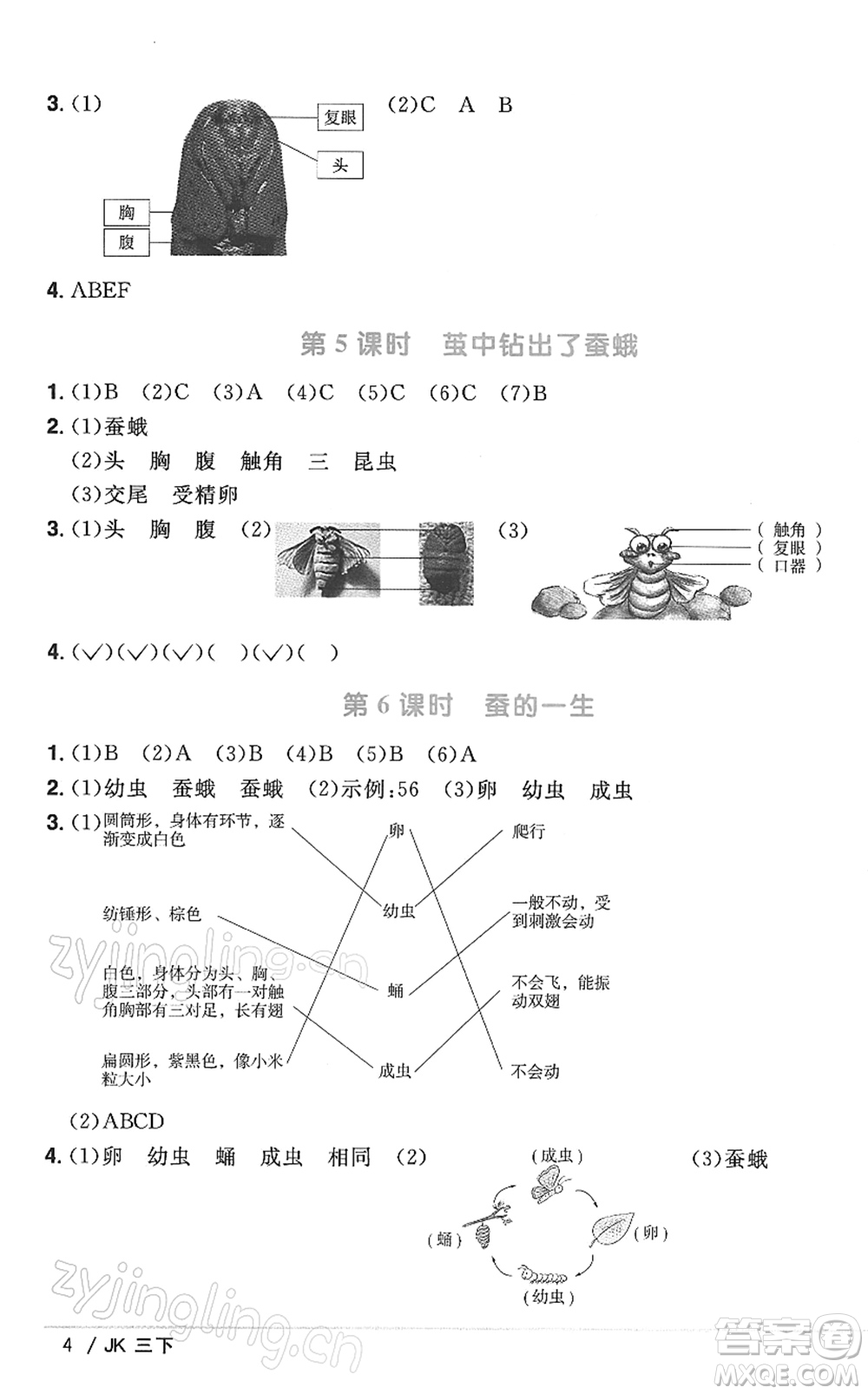 江西教育出版社2022陽光同學(xué)課時(shí)優(yōu)化作業(yè)三年級(jí)科學(xué)下冊(cè)JK教科版答案