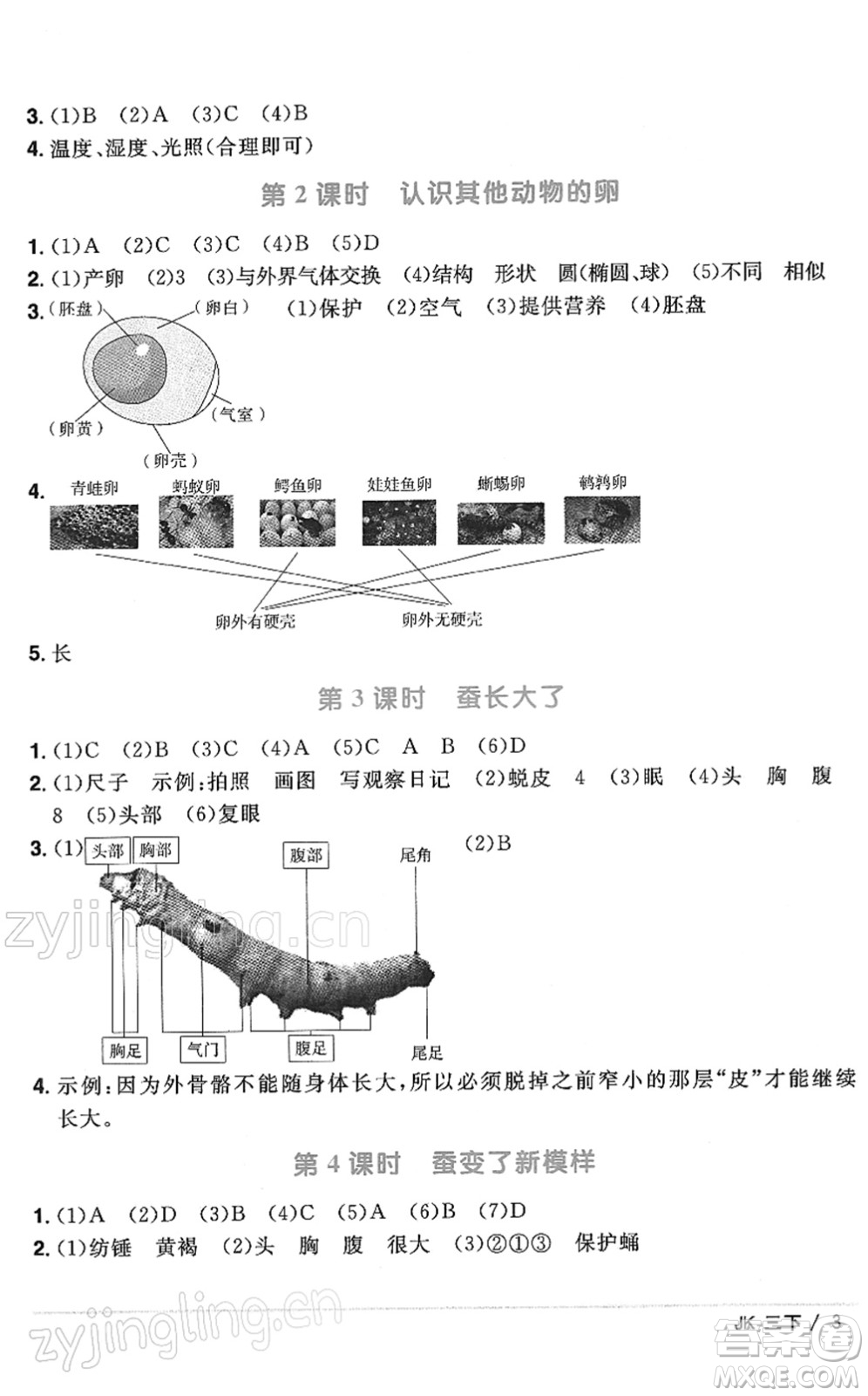 江西教育出版社2022陽光同學(xué)課時(shí)優(yōu)化作業(yè)三年級(jí)科學(xué)下冊(cè)JK教科版答案