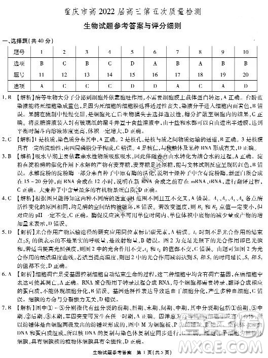 重慶市高2022屆高三第五次質(zhì)量檢測生物試題及答案