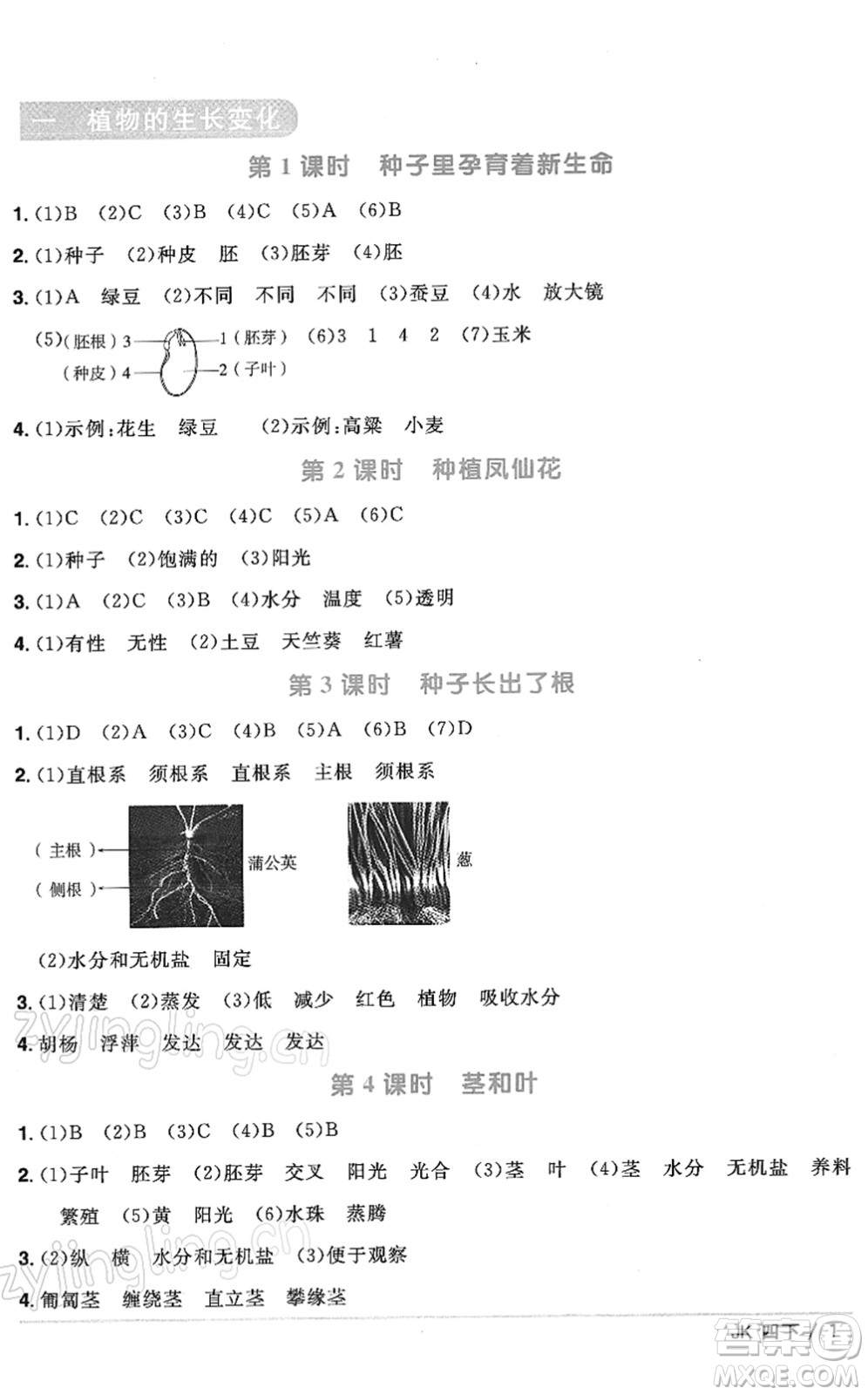 江西教育出版社2022陽光同學(xué)課時(shí)優(yōu)化作業(yè)四年級科學(xué)下冊JK教科版答案