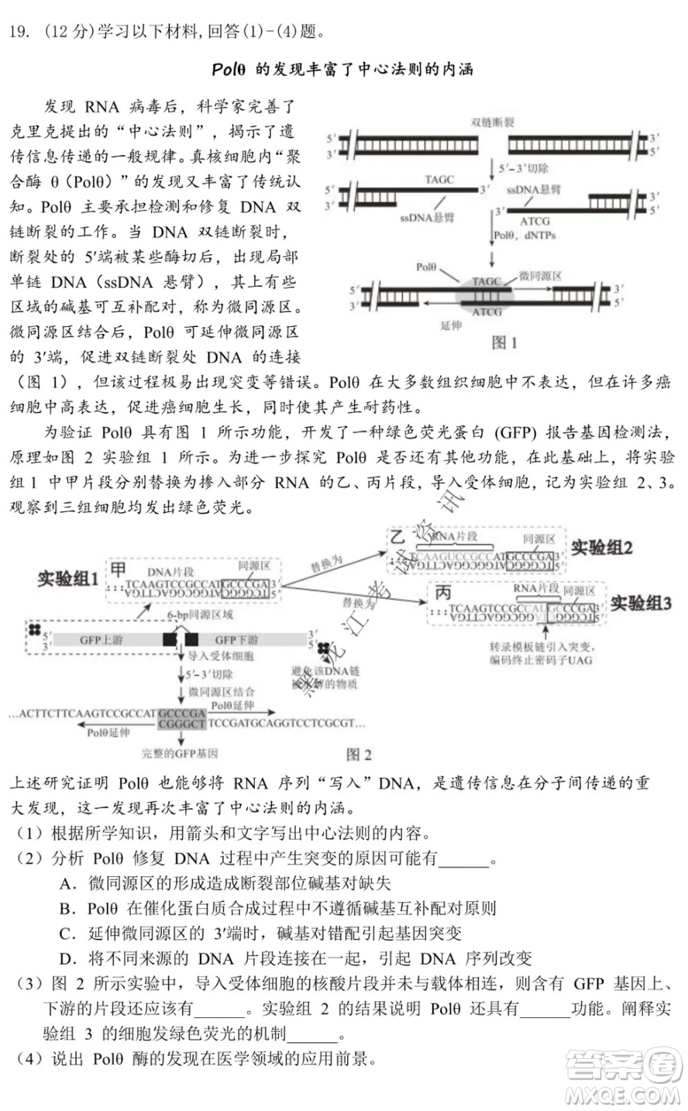 北京市西城區(qū)2021-2022學年第一學期期末試卷高三生物試題及答案