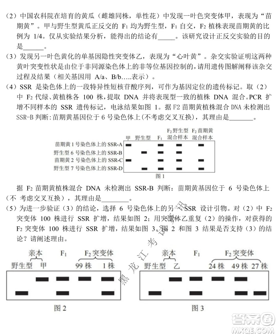 北京市西城區(qū)2021-2022學年第一學期期末試卷高三生物試題及答案