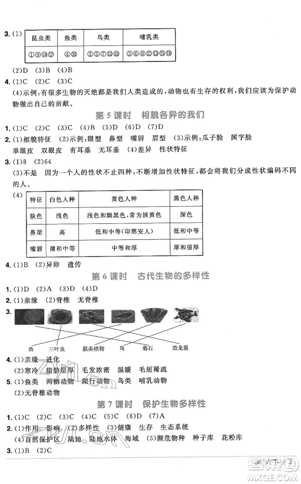 江西教育出版社2022陽光同學(xué)課時優(yōu)化作業(yè)六年級科學(xué)下冊JK教科版答案