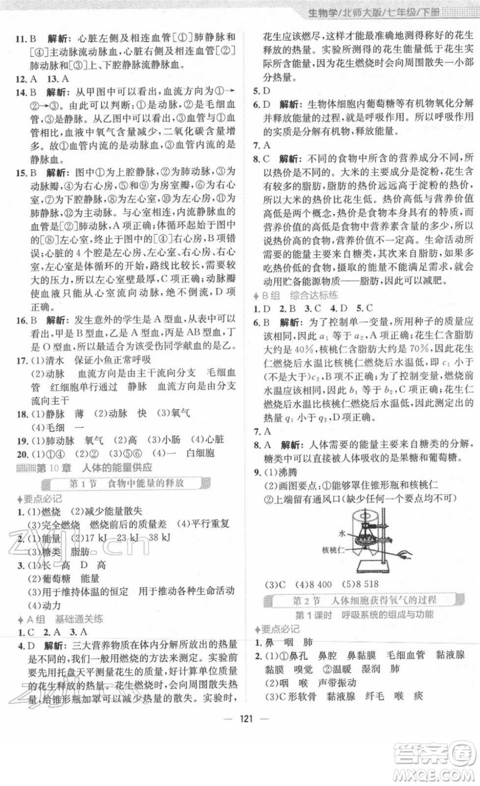 安徽教育出版社2022新編基礎(chǔ)訓(xùn)練七年級生物下冊北師大版答案