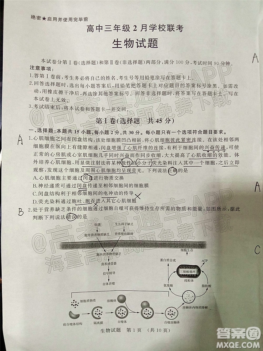 2022年濟南十一校高三年級2月學(xué)校聯(lián)考生物試題及答案