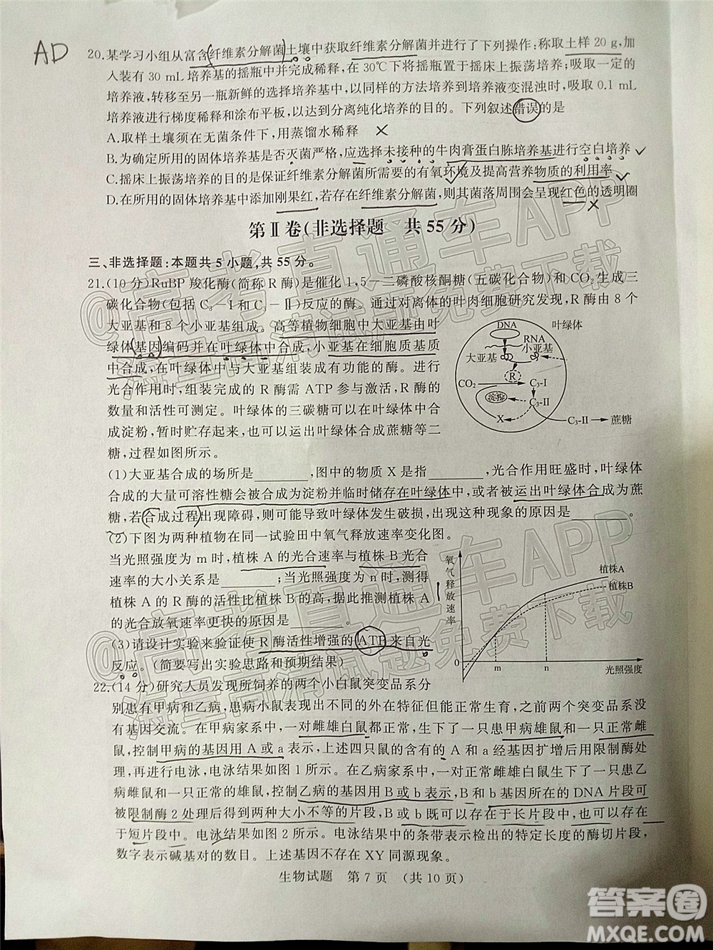 2022年濟南十一校高三年級2月學(xué)校聯(lián)考生物試題及答案