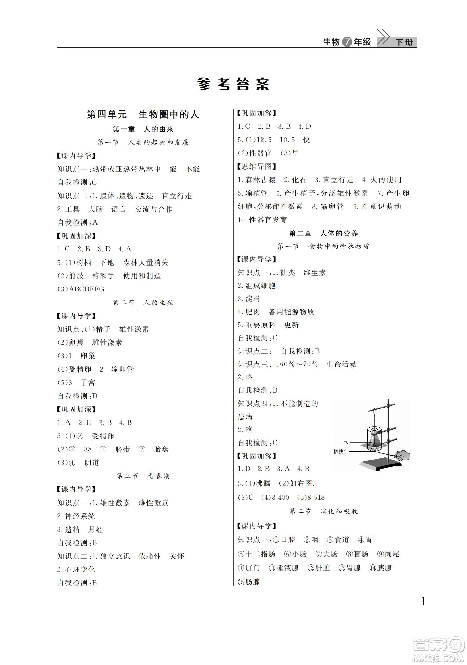 武漢出版社2022智慧學(xué)習(xí)天天向上課堂作業(yè)七年級生物下冊人教版答案