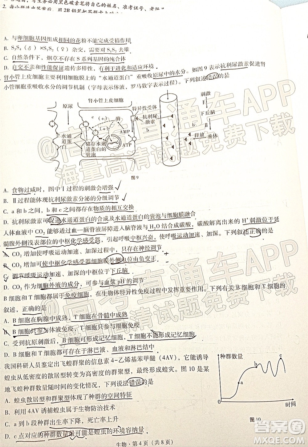 巴蜀中學(xué)2022屆高考適應(yīng)性月考卷七生物試題及答案