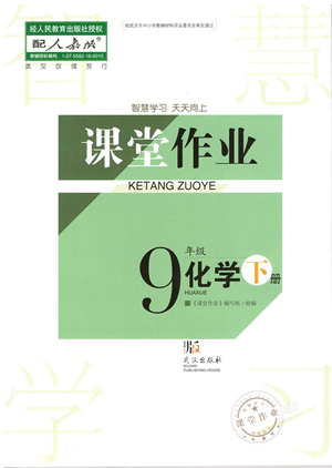 武漢出版社2022智慧學習天天向上課堂作業(yè)九年級化學下冊人教版答案