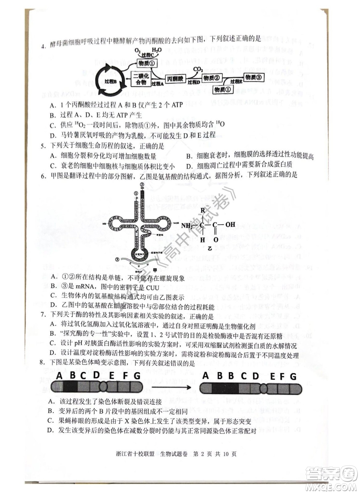 浙江省十校聯(lián)盟2022屆高三第二次聯(lián)考生物試題及答案