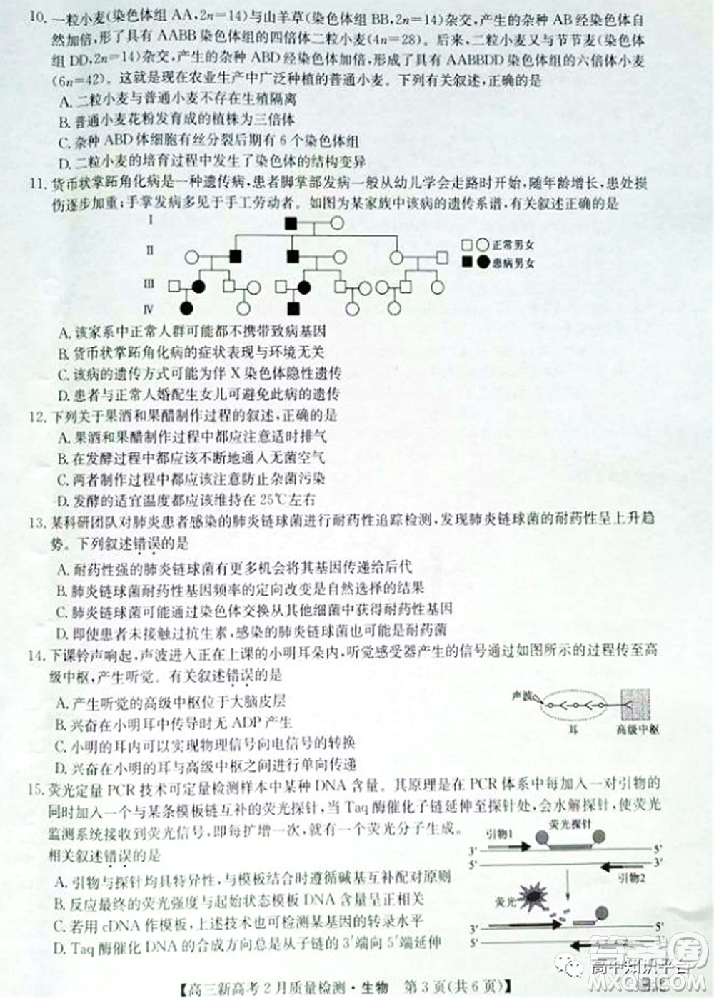 2022年湖北省新高考聯(lián)考協(xié)作體高三新高考2月質(zhì)量檢測生物試題及答案