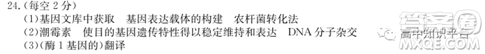 2022年湖北省新高考聯(lián)考協(xié)作體高三新高考2月質(zhì)量檢測生物試題及答案