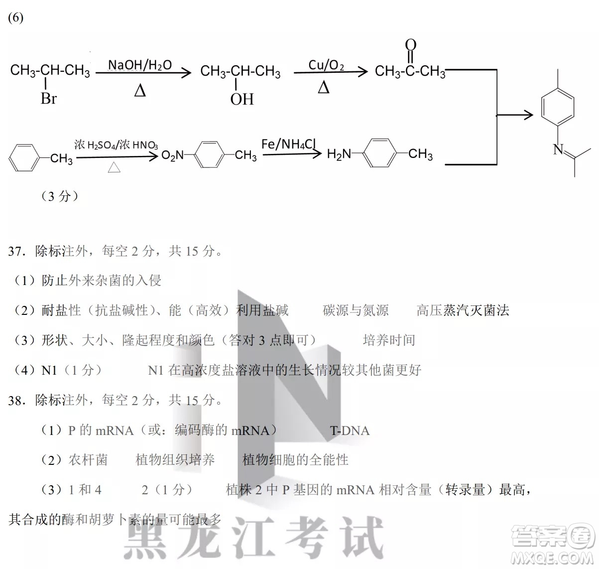 黑龍江省2022年春季學(xué)期高三年級(jí)校際聯(lián)合考試?yán)砜凭C合試題及答案