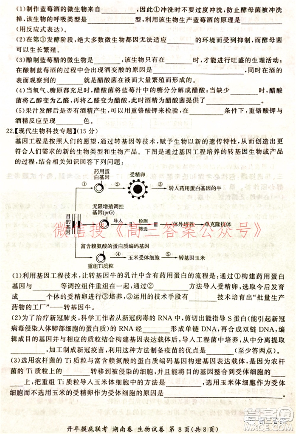 百師聯(lián)盟2022屆高三開年摸底聯(lián)考湖南卷生物試題及答案