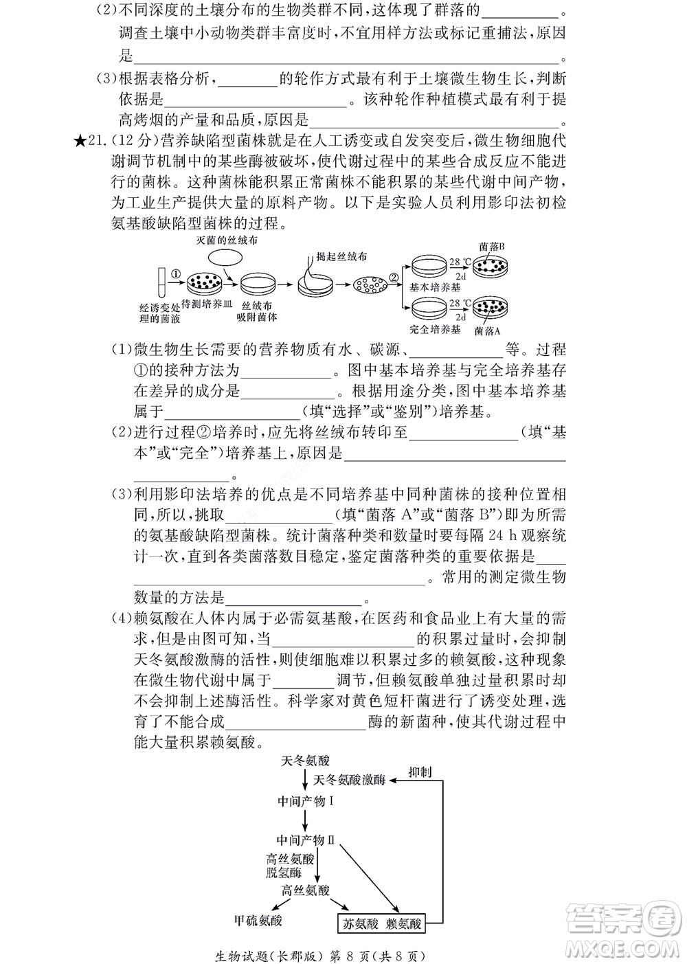 湖南長郡中學2022年高二年級寒假作業(yè)檢測生物試題及答案