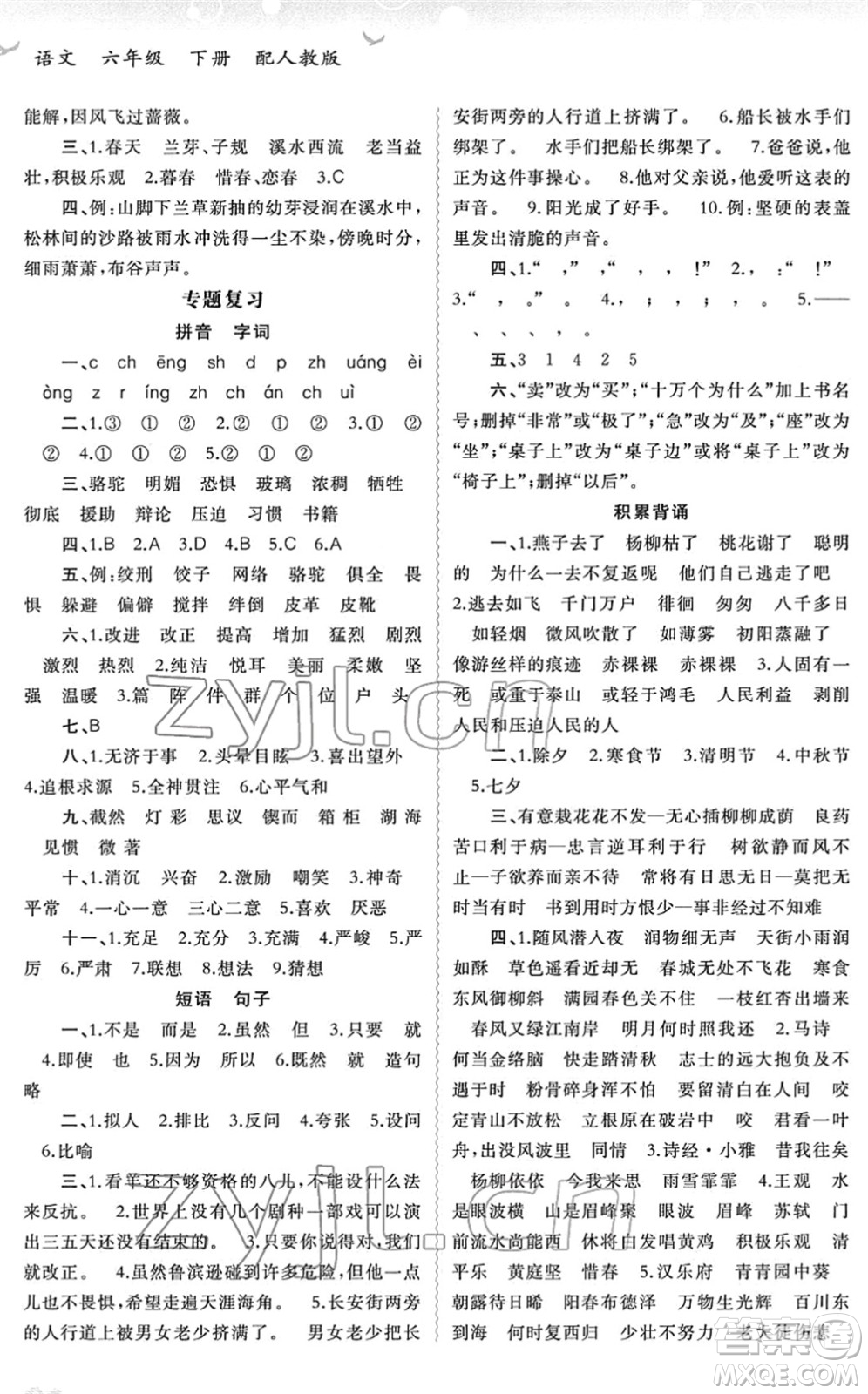 廣西教育出版社2022新課程學(xué)習(xí)與測評同步學(xué)習(xí)六年級語文下冊人教版答案