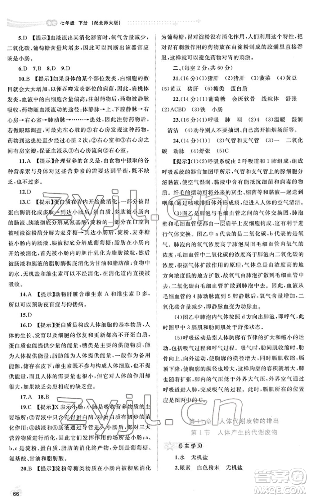 廣西教育出版社2022新課程學(xué)習(xí)與測評同步學(xué)習(xí)七年級生物下冊北師大版答案