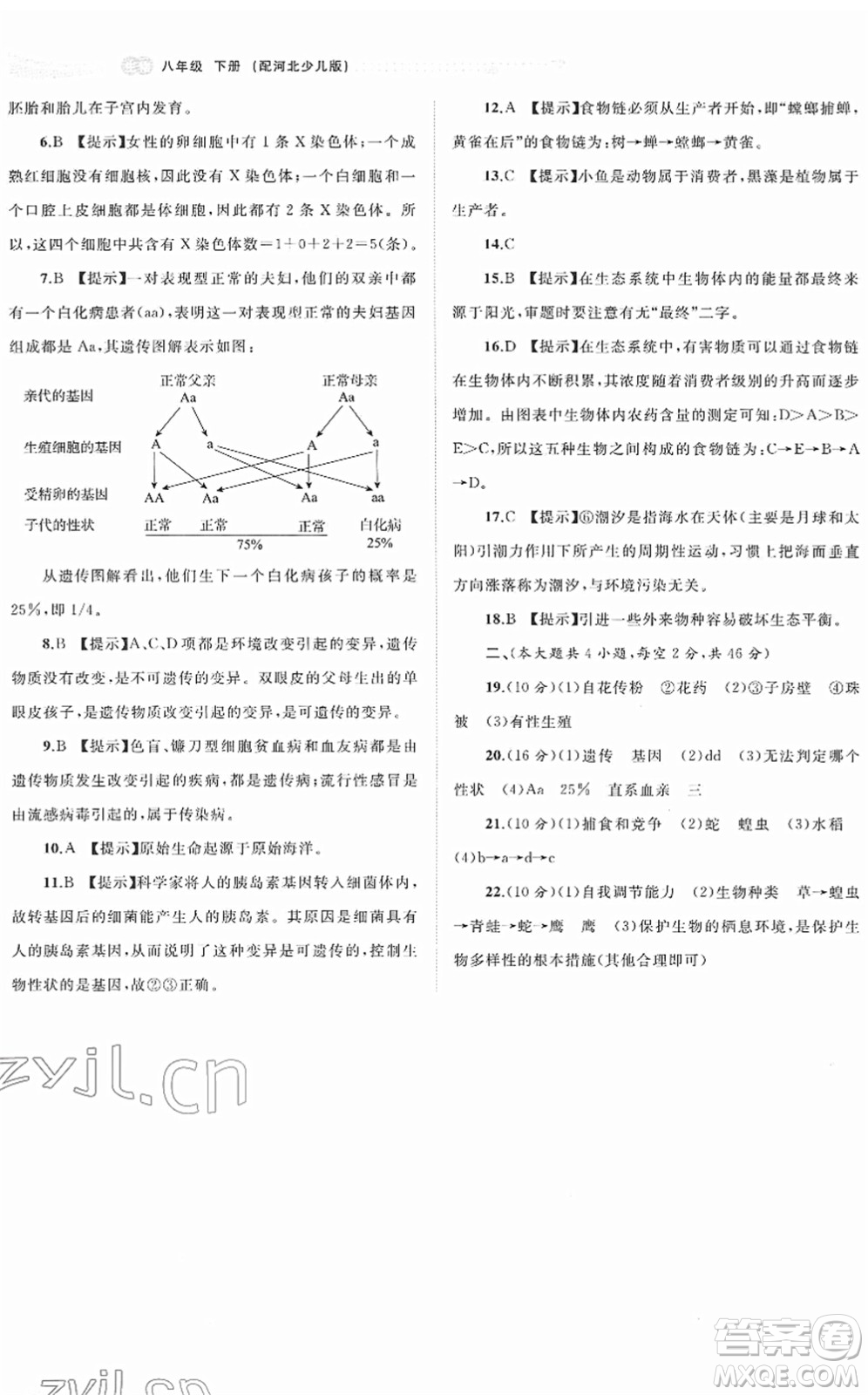 廣西教育出版社2022新課程學(xué)習(xí)與測評同步學(xué)習(xí)八年級生物下冊河北少兒版答案