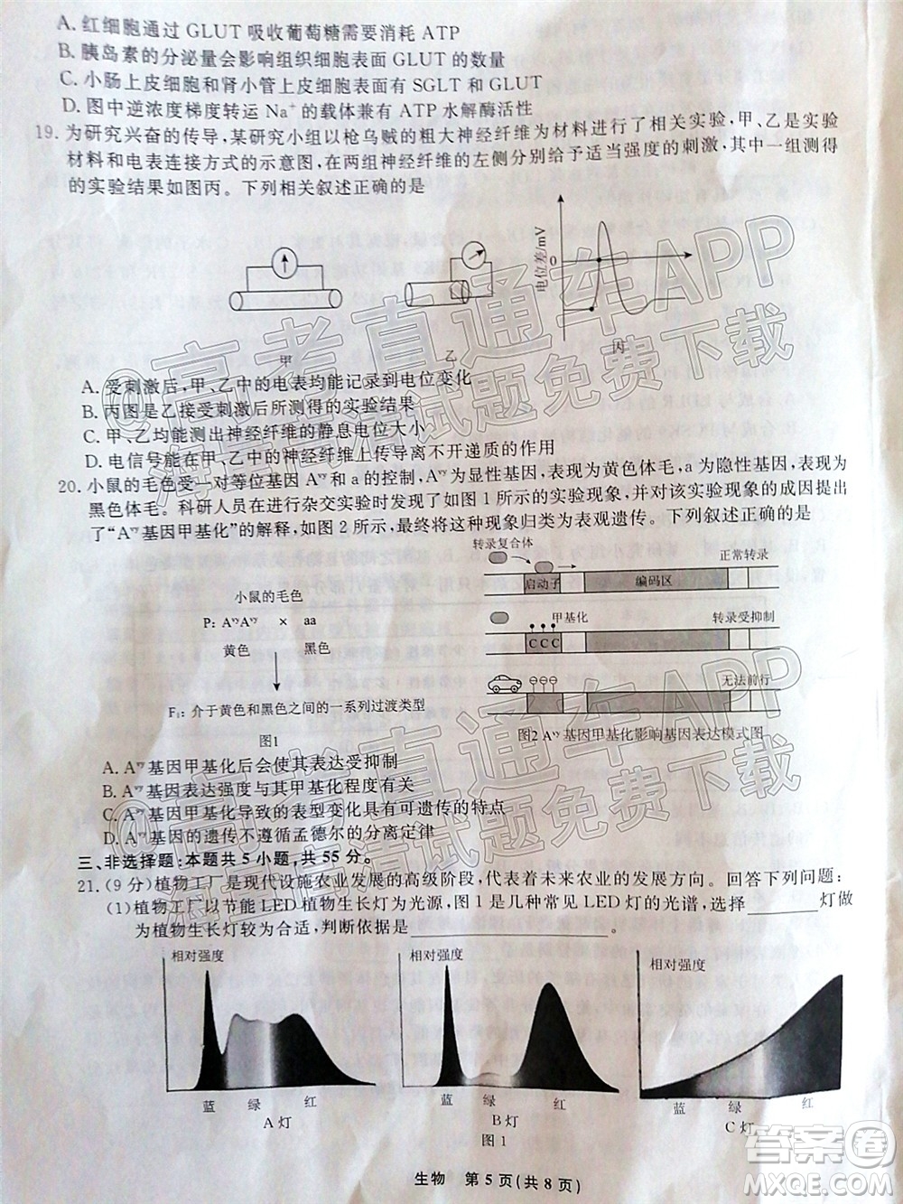 遼寧省名校聯(lián)盟2022屆高三3月份聯(lián)合考試生物試題及答案