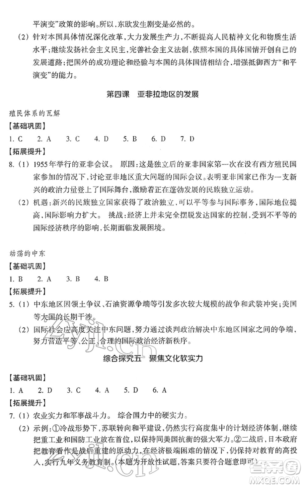 浙江教育出版社2022歷史與社會作業(yè)本九年級歷史下冊人教版答案