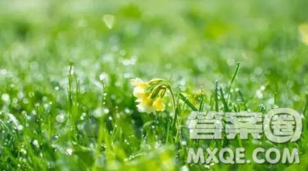 春天的第一場(chǎng)雨三年級(jí)作文300字 關(guān)于春天的第一場(chǎng)雨的三年級(jí)作文300字