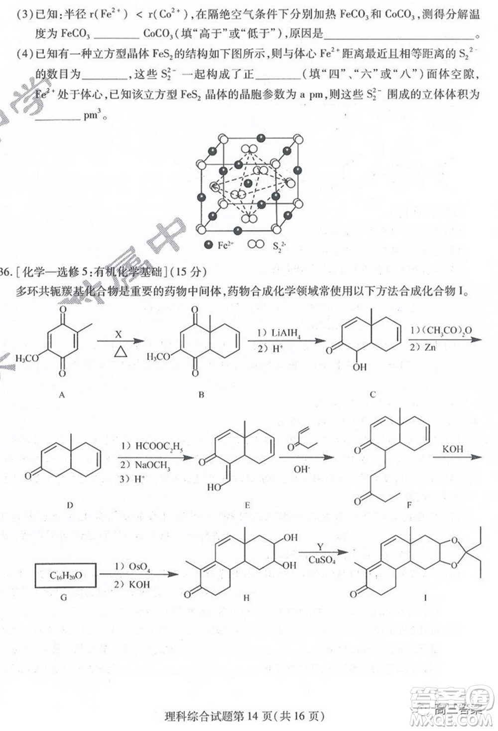 2022屆東北三省三校高三第一次聯(lián)合模擬考試?yán)砜凭C合試題及答案